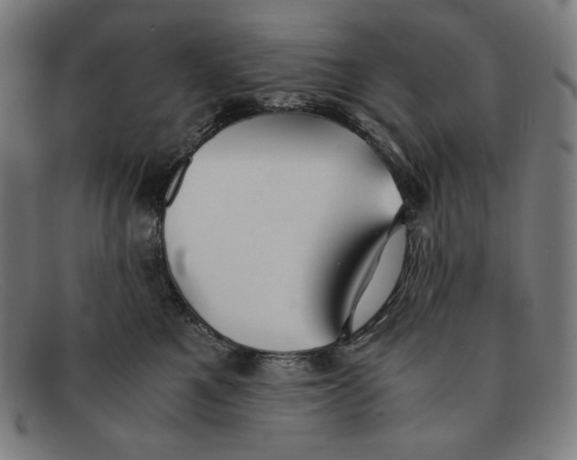 X0000091300521200708311339