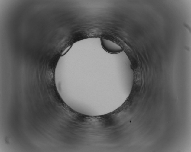 X0000091300523200708311339