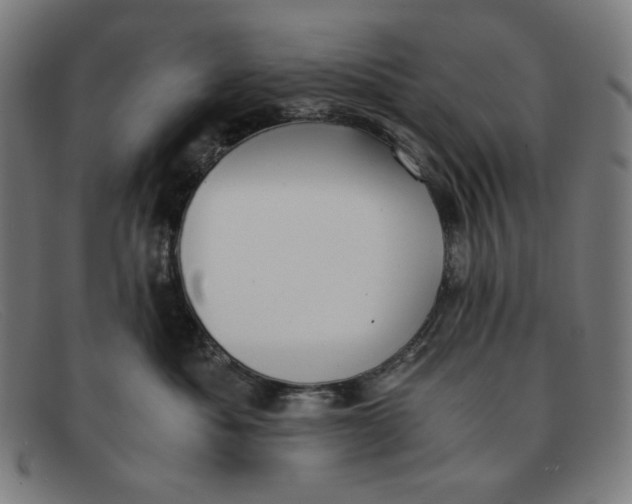 X0000091300525200708311339