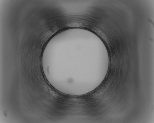 X0000091300529200708311339