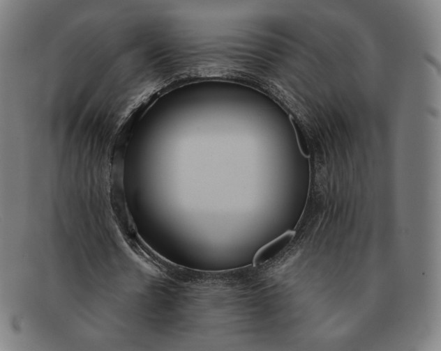 X0000091300530200708311339