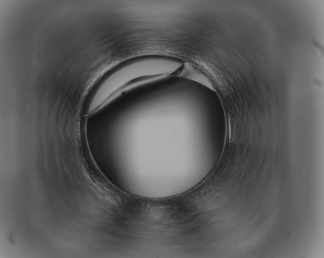 X0000091300531200708311339