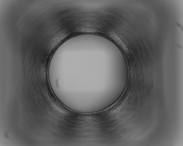 X0000091300533200708311339