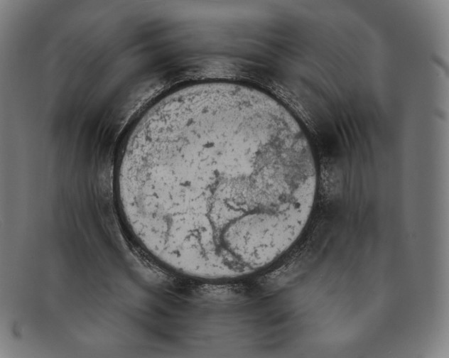 X0000091300534200708311339