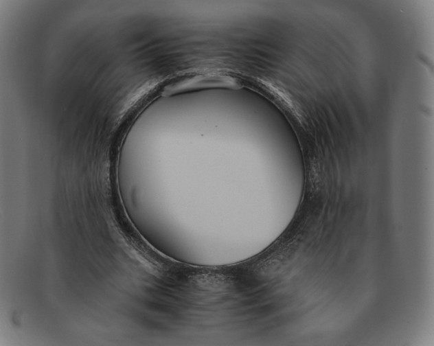 X0000091300535200708311339