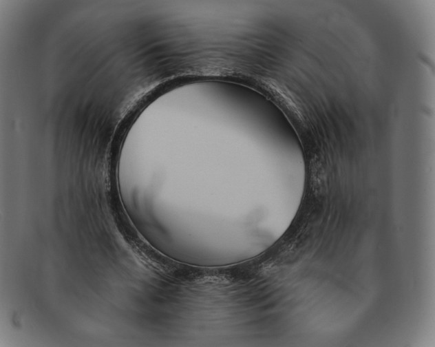 X0000091300536200708311339