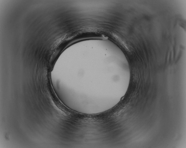 X0000091300538200708311339