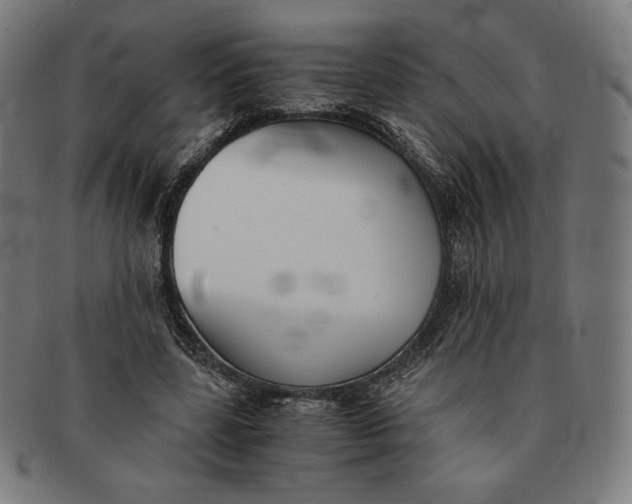 X0000091300539200708311339