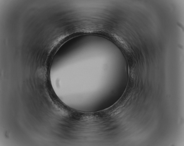 X0000091300540200708311339