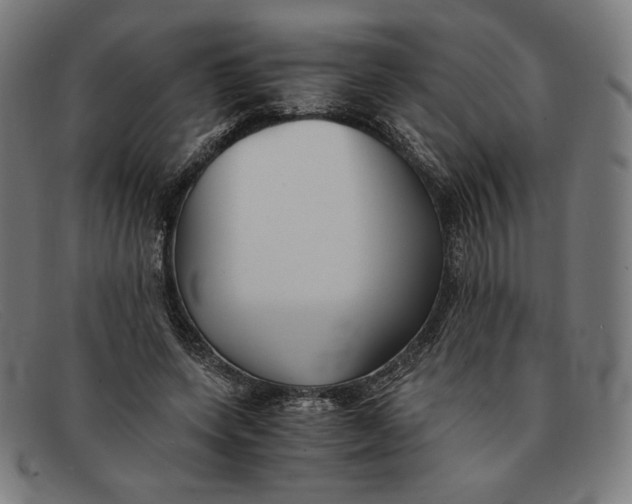 X0000091300543200708311339