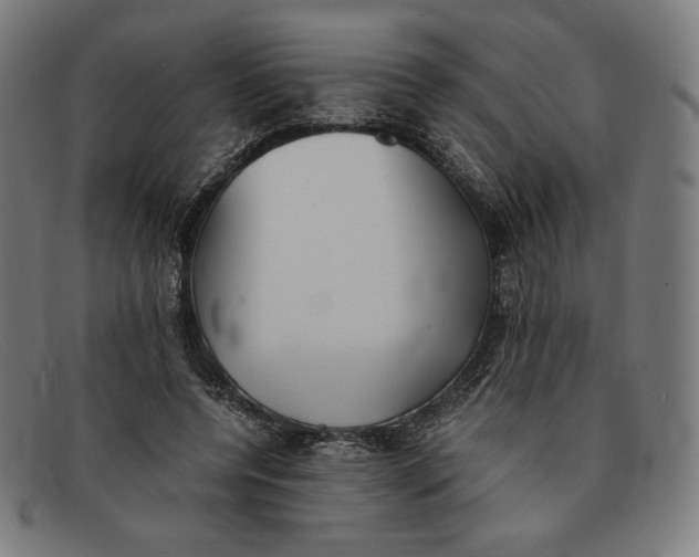 X0000091300544200708311339