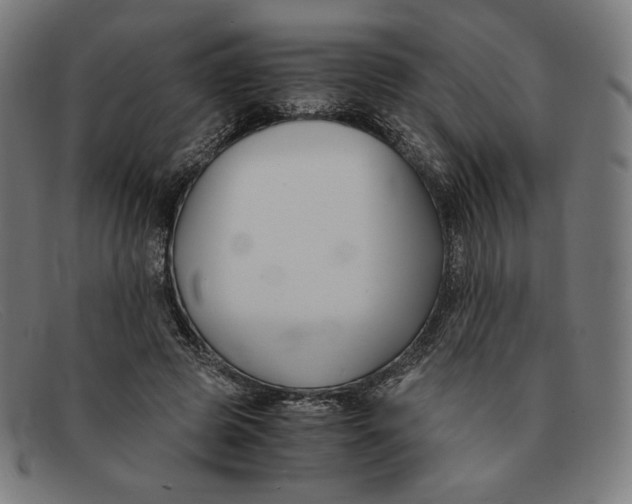 X0000091300545200708311339