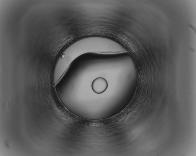 X0000091300546200708311339