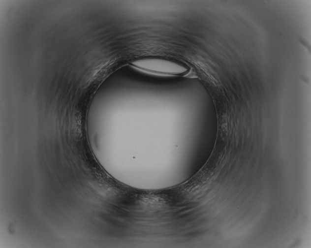 X0000091300547200708311339