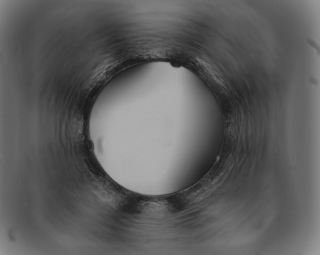 X0000091300548200708311339