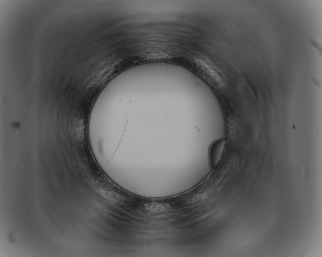 X0000091300549200708311339