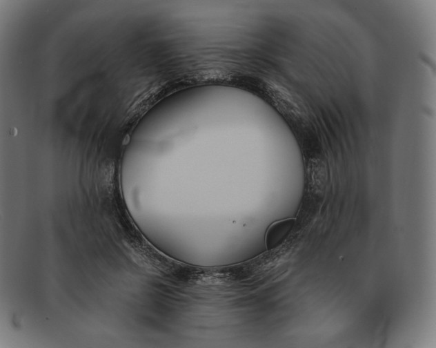 X0000091300550200708311339