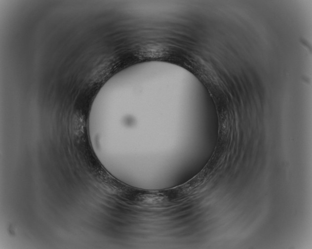 X0000091300555200708311339