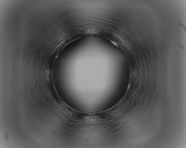 X0000091300556200708311339