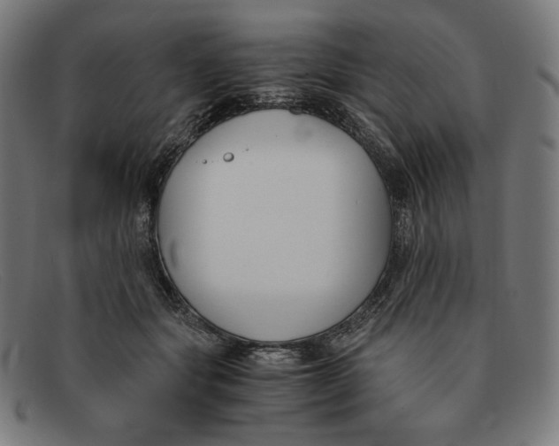 X0000091300557200708311339