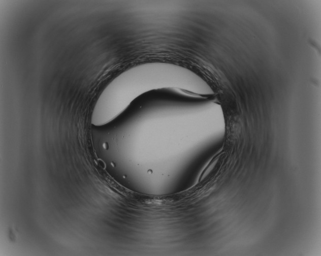 X0000091300558200708311339