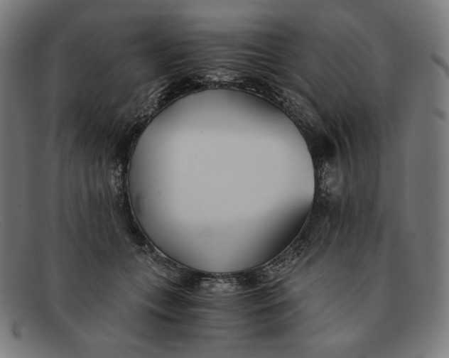 X0000091300559200708311339