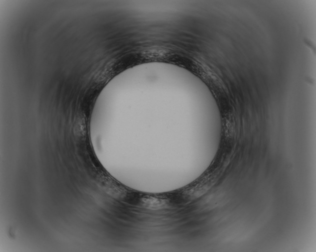 X0000091300561200708311339