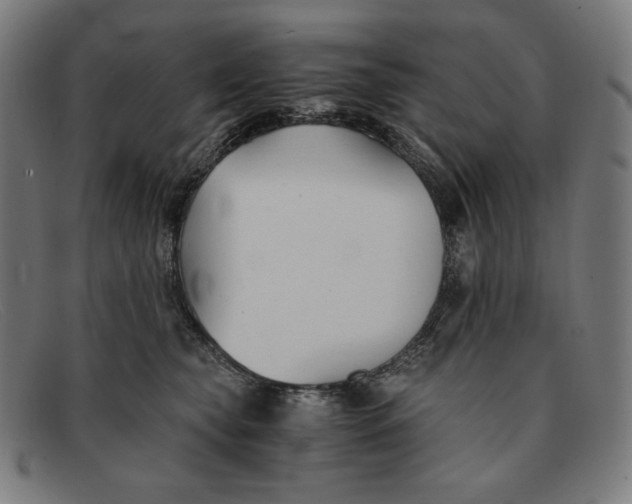 X0000091300565200708311339