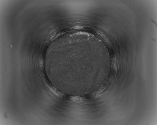 X0000091300568200708311339