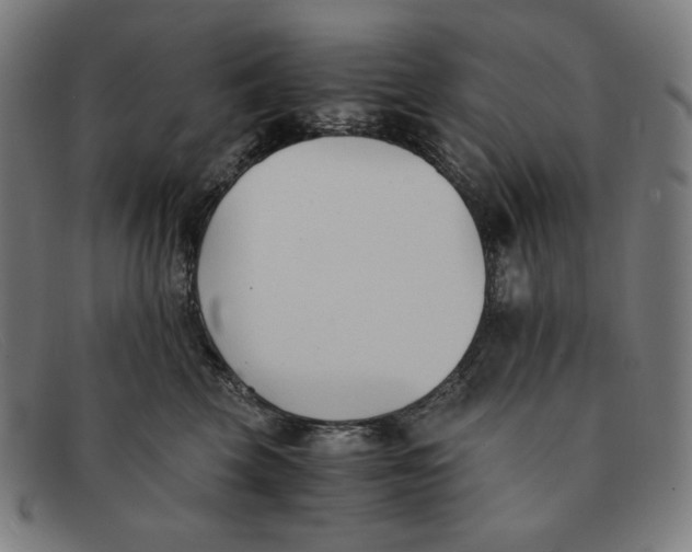 X0000091300569200708311339