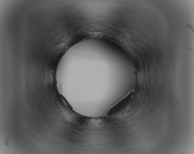 X0000091300570200708311339