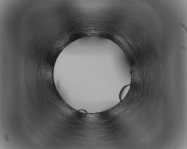 X0000091300573200708311339