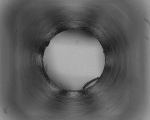 X0000091300575200708311339