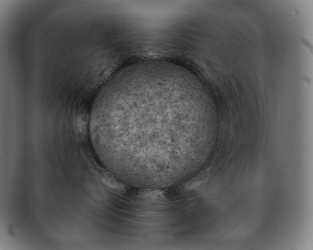 X0000091300576200708311339