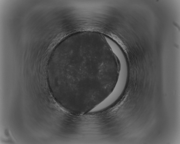 X0000091300577200708311339