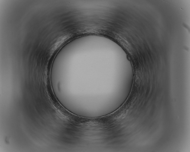 X0000091300578200708311339