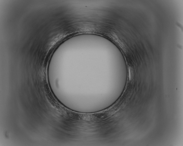 X0000091300579200708311339