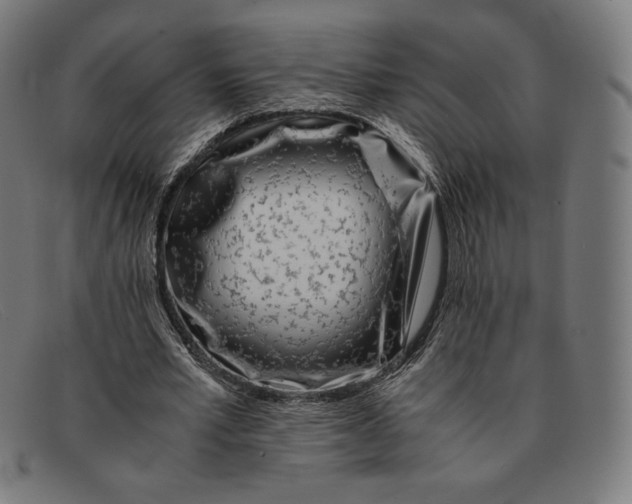 X0000091300581200708311339