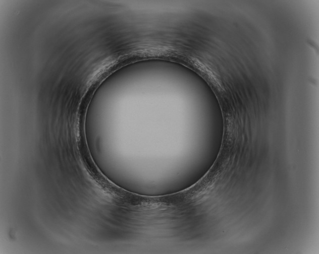 X0000091300582200708311339