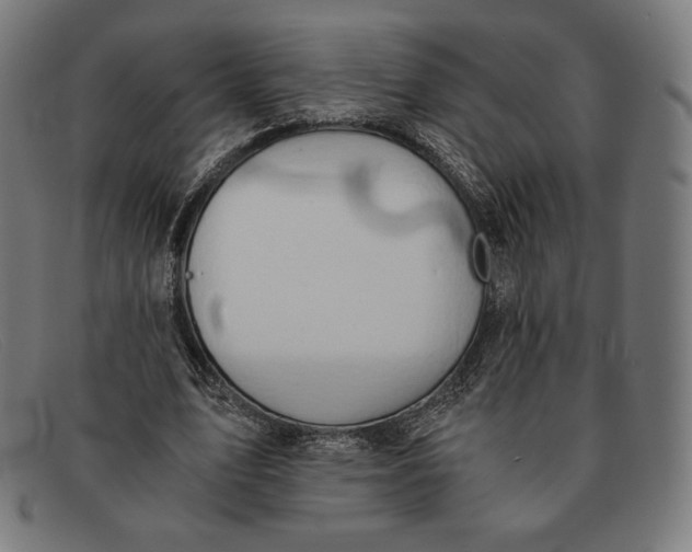 X0000091300583200708311339