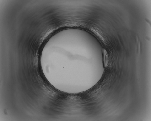 X0000091300584200708311339