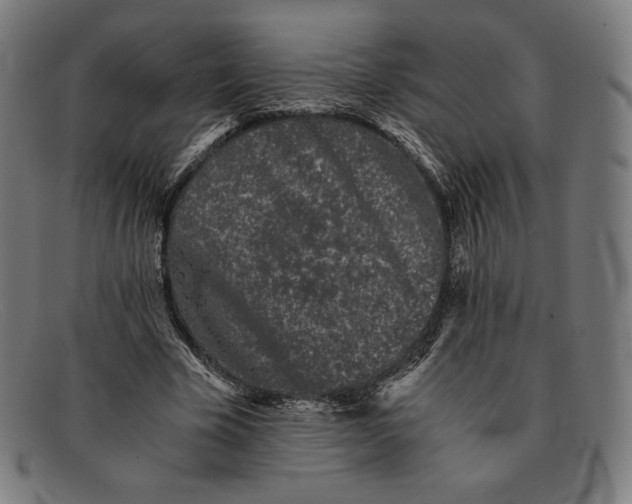 X0000091300585200708311339