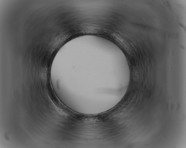 X0000091300586200708311338