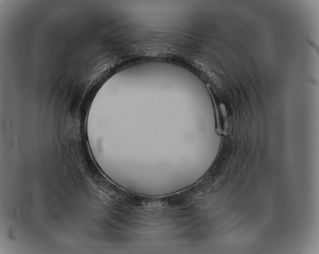 X0000091300587200708311338