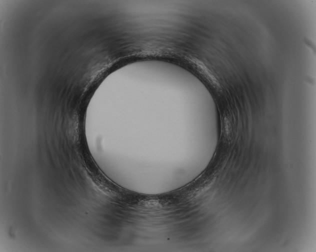 X0000091300588200708311338