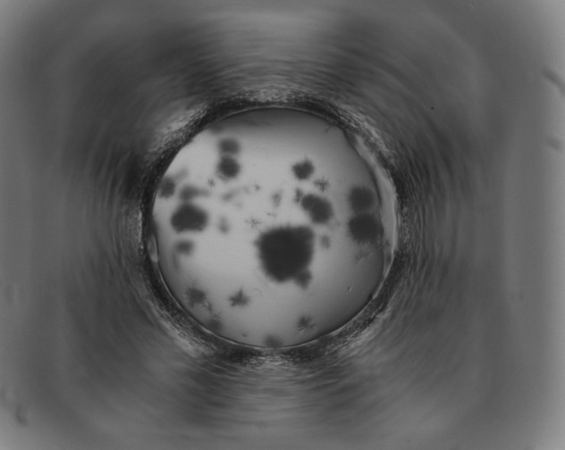 X0000091300589200708311338