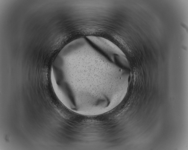 X0000091300590200708311338