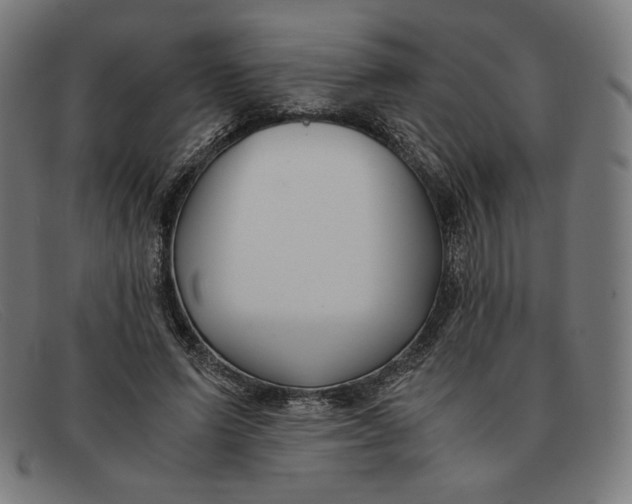 X0000091300591200708311338