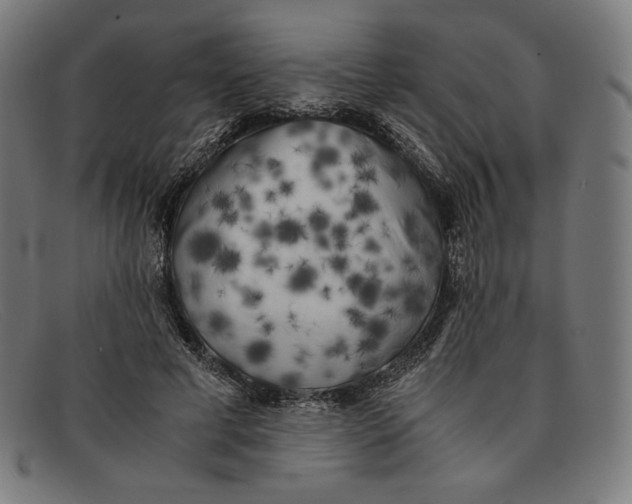 X0000091300593200708311338