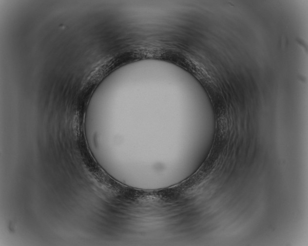 X0000091300594200708311338